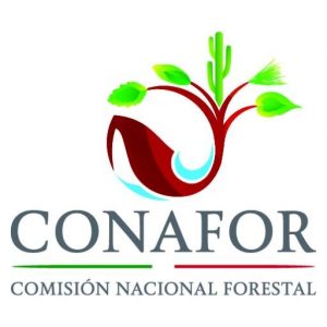 5-CONAFOR