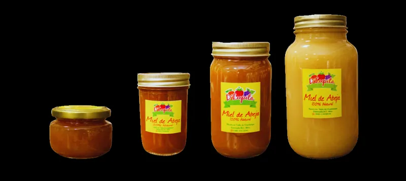 Frascos de miel de abeja 100% natural D'Lupita en cuatro tamaños